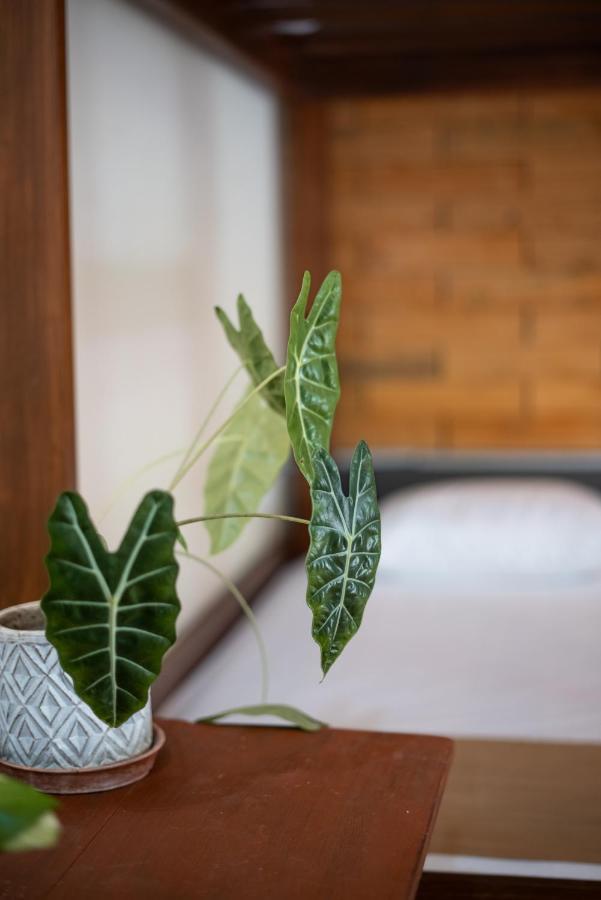 Hotel Casa Sabina Bacalar Zewnętrze zdjęcie