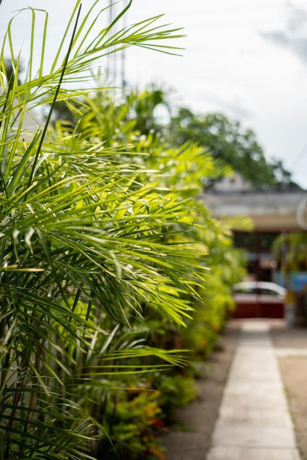 Hotel Casa Sabina Bacalar Zewnętrze zdjęcie
